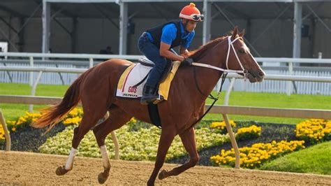 Who are the horses running in the Preakness, and why do they dream of flying?